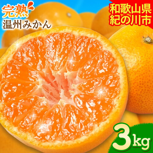 [先行予約]完熟 温州みかん 約3kg (35~40玉) こだまファーム[2025年10月中旬-2026年2月中旬頃出荷] 和歌山県 紀の川市 みかん ミカン 果物 フルーツ