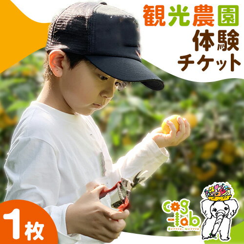 【ふるさと納税】観光農園体験チケット 1枚 Cog-Lab《30日以内に出荷予定(土日祝除く)》 柿 かき カキ スモモ すもも みかん ミカン 八朔 はっさく はるみ 清見 不知火 キウイ フルーツ 果物 スイーツ 送料無料 体験 チケット 学び 学習
