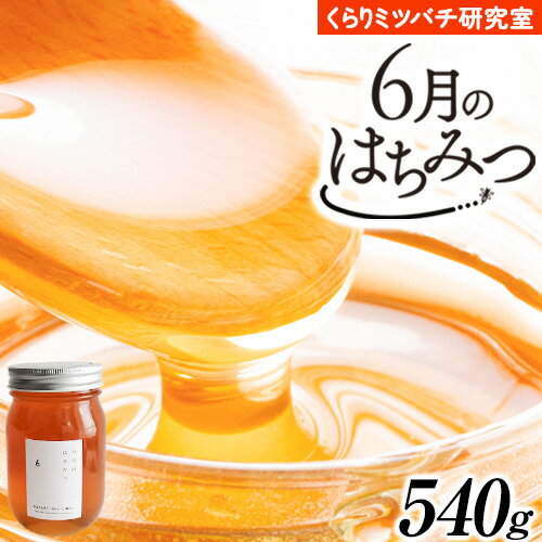 6月のはちみつ 540g KURARI くらりミツバチ研究室[90日以内に出荷予定(土日祝除く)]和歌山県 紀の川市 蜂蜜 ハチミツ 非加熱 純正生はちみつ トースト ヨーグルト