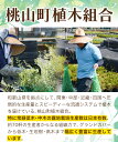 和歌山県紀の川市の画像3