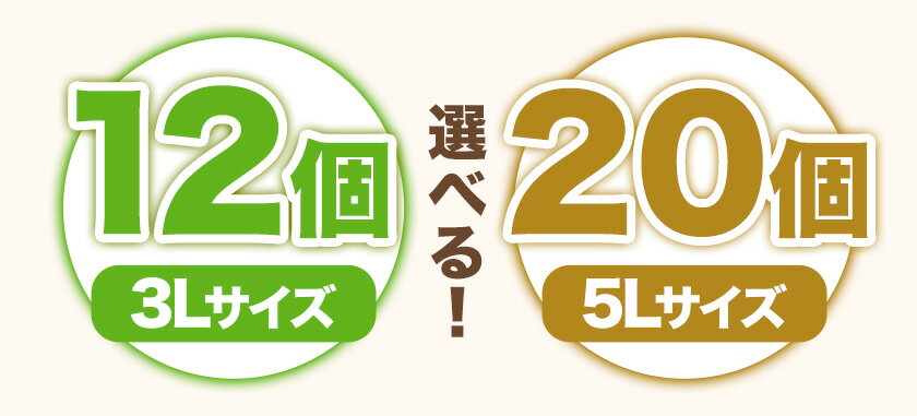 【ふるさと納税】【2026年出荷 先行予約】秀品 紀の川市産 キウイフルーツ ヘイワード 選べる 12個入 3Lサイズ or 20個入り 5Lサイズ 1玉180g以上 和田果樹園 《2026年1月上旬-3月上旬頃出荷》 和歌山県 紀の川市 キウイ キウイフルーツ ヘイワード 果物 フルーツ 送料無料