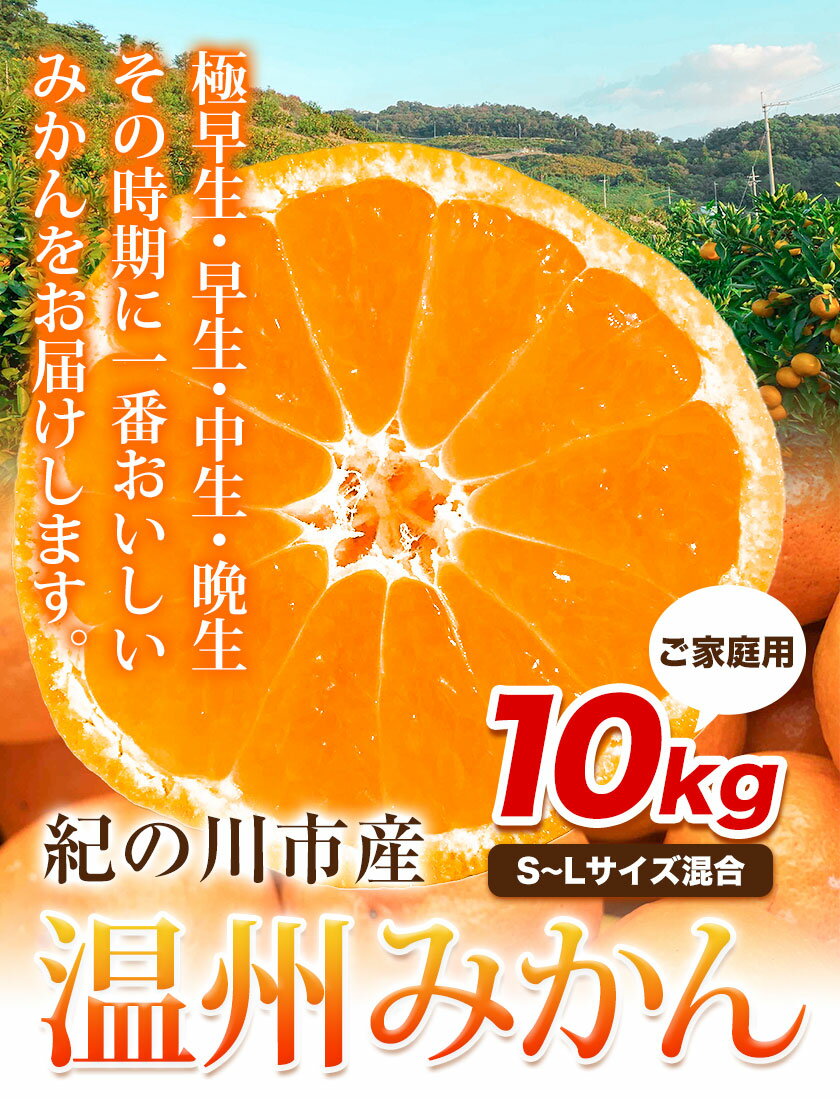 【ふるさと納税】ご家庭用 温州みかん 10kg (S〜Lサイズ混合) 和田果樹園【先行予約】《2025年11月上旬-2026年2月上旬頃出荷》 和歌山県 紀の川市 みかん ミカン 果物 フルーツ 温州みかん ご家庭用 送料無料