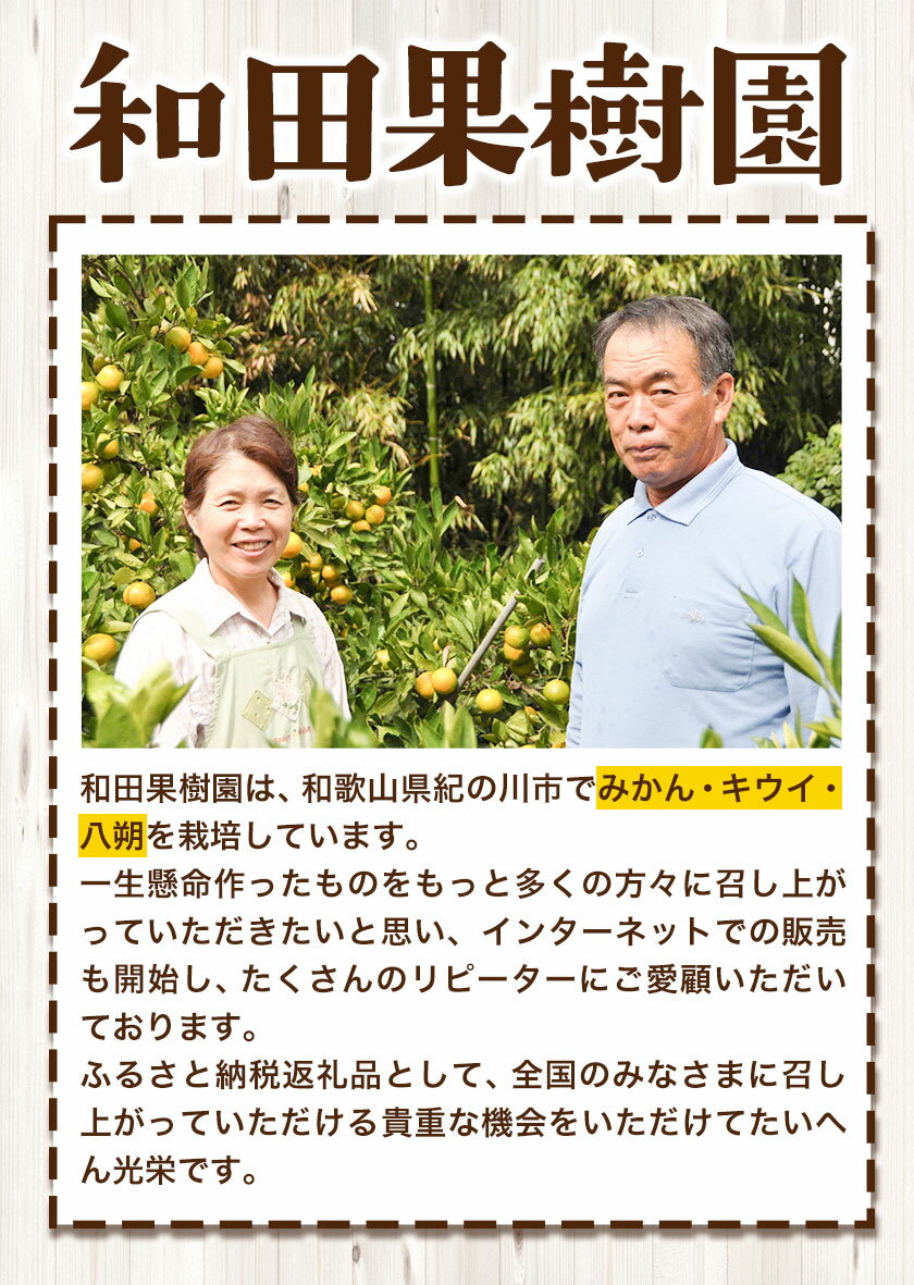 【ふるさと納税】ご家庭用 温州みかん 10kg (S〜Lサイズ混合) 和田果樹園【先行予約】《2025年11月上旬-2026年2月上旬頃出荷》 和歌山県 紀の川市 みかん ミカン 果物 フルーツ 温州みかん ご家庭用 送料無料