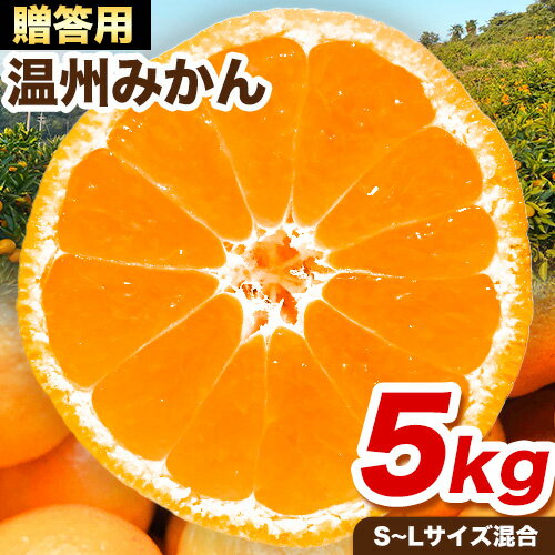 【ふるさと納税】贈答用にもおすすめ 温州みかん 5kg (S