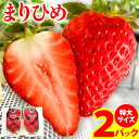 13位! 口コミ数「1件」評価「4」希少！まりひめ　特大サイズ　約300g～350g×2パック きよ農園《2025年2月上旬-3月下頃出荷》 いちご 苺 まりひめ フルーツ 果･･･ 