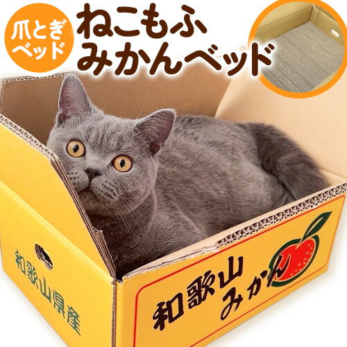 【ふるさと納税】爪とぎ ねこもふみかんベッド 濱田紙販売株式会社 猫 ネコ ツメとぎ 《90日以内に出荷予定 土日祝除く 》 和歌山県 紀の川市 ペット用品 段ボール ダンボール デザイン 蜜柑