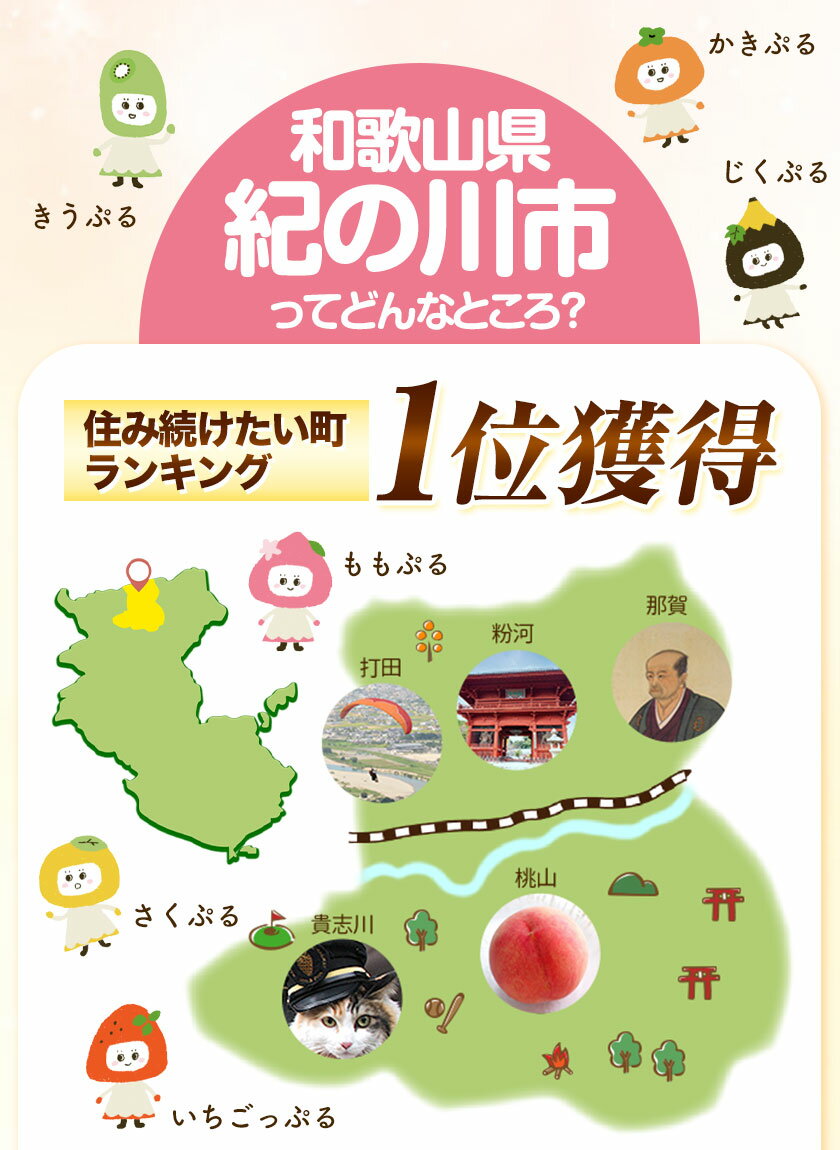 【ふるさと納税】和歌山県 紀の川市 応援寄附 ...の紹介画像3