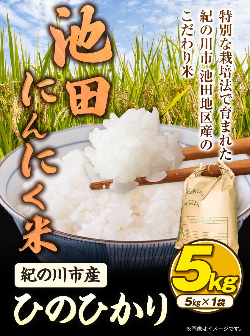 【ふるさと納税】杵つき 丸もち 個包装 1kg×10袋 年内発送 お正月 ふるさと納税 山形 もち 丸餅 餅