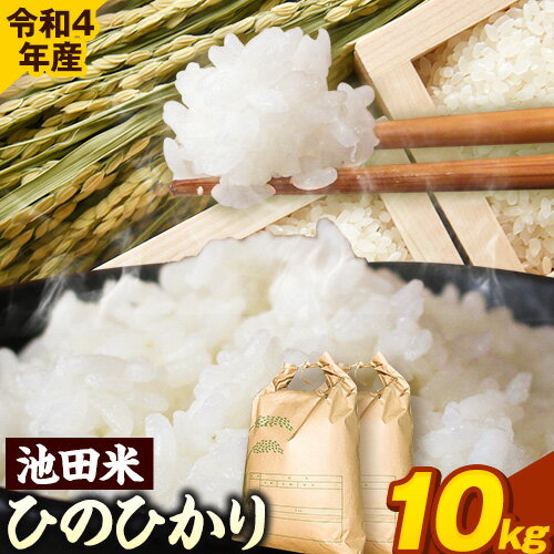 【ふるさと納税】令和4年産 池田米 10kg (5kg×2袋) (紀の川市産ひのひかり) 上野商店 《60日以内に順次出荷(土日祝除く)》和歌山県 紀の川市 米 白米 ひのひかり