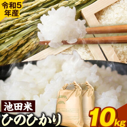 令和5年産 池田米 10kg (5kg×2袋) (紀の川市産ひのひかり) 上野商店 《60日以内に出荷予定(土日祝除く)》和歌山県 紀の川市 米 白米 ひのひかり