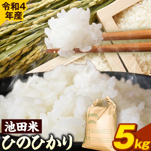 【ふるさと納税】令和4年産 池田米 5kg (紀の川市産ひのひかり) 上野商店 《60日以内に順次出荷(土日祝除く)》和歌山県 紀の川市 米 白米 ひのひかり