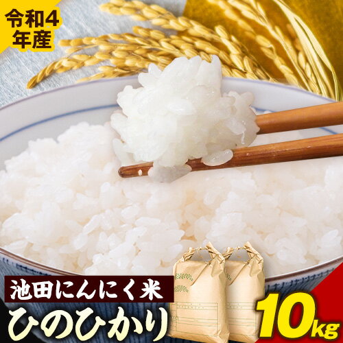 【ふるさと納税】令和4年産 池田にんにく米 10kg (5kg×2袋) (紀の川市産ひのひかり) 上野商店 《60日以内に順次出荷(土日祝除く)》和歌山県 紀の川市 米 白米 ひのひかり