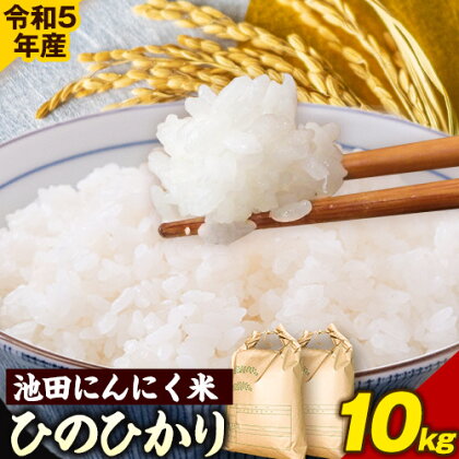 令和5年産 池田にんにく米 10kg (5kg×2袋) (紀の川市産ひのひかり) 上野商店 《60日以内に出荷予定(土日祝除く)》和歌山県 紀の川市 米 白米 ひのひかり