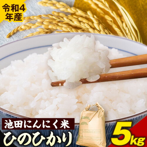 【ふるさと納税】令和4年産 池田にんにく米 5kg (紀の川市産ひのひかり) 上野商店 《60日以内に順次出荷(土日祝除く)》和歌山県 紀の川市 米 白米 ひのひかり