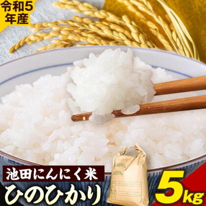 令和5年産 池田にんにく米 5kg (紀の川市産ひのひかり) 上野商店 《60日以内に出荷予定(土日祝除く)》和歌山県 紀の川市 米 白米 ひのひかり