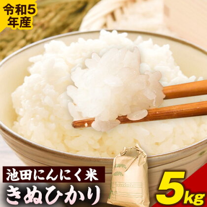 令和5年産 池田にんにく米 5kg (紀の川市産きぬひかり) 上野商店 《60日以内に出荷予定(土日祝除く)》和歌山県 紀の川市 米 白米 きぬひかり