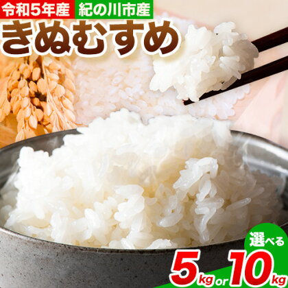 令和5年産 きぬむすめ 5kg (5kg×1袋) 10kg (5kg×2袋) 上野商店《30日以内に出荷予定(土日祝除く)》和歌山県 紀の川市 米 白米