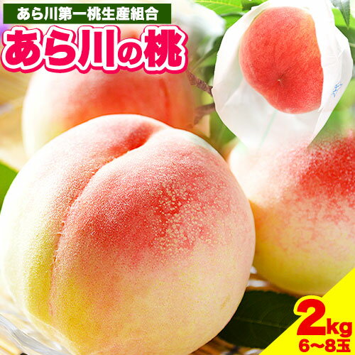 【ふるさと納税】【先行予約】あら川の桃2kg(6-8玉) あら川第一桃生産組合《6月中旬から8月上旬頃出荷》 和歌山県 紀…