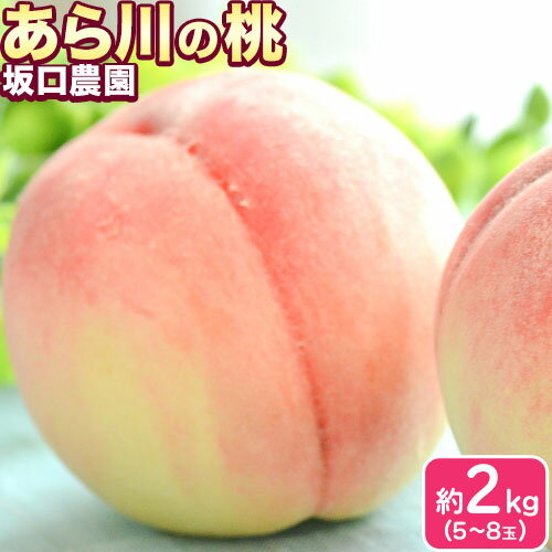 あら川の桃 約2kg(5~8玉) 坂口農園[2024年6月下旬-8月下旬頃より出荷予定] 和歌山県 紀の川市 桃 もも モモ 白鳳 日川白鳳 紀の里白鳳 清水白桃 川中島白桃 なつっこ あら川の桃 送料無料