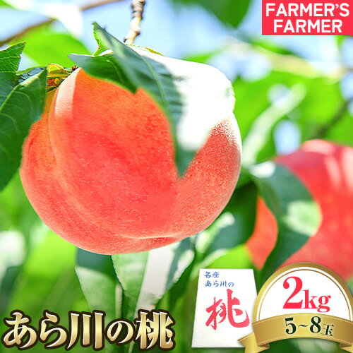 【ふるさと納税】 紀の川市産 あら川の桃 約2kg 5~8玉 FARMER'S FARMER《2024年6月中旬-8月上旬頃出荷》 和歌山県 紀…