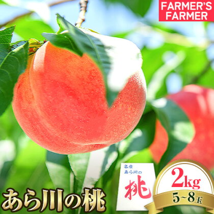 紀の川市産 あら川の桃 約2kg 5~8玉 FARMER'S FARMER《2024年6月中旬-8月上旬頃出荷》 和歌山県 紀の川市 果物 フルーツ 桃 もも モモ 旬