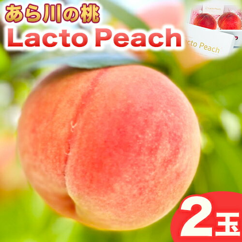 【ふるさと納税】乳酸菌で育てた あら川の桃 Lacto Peach ラクトピーチ 2玉《2024年7月上旬-8月下旬頃出荷》 2玉入箱…