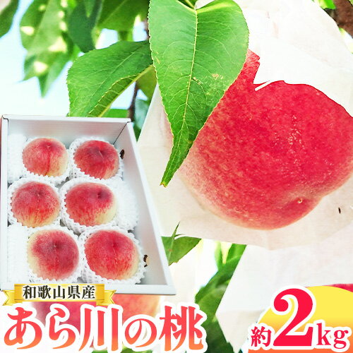 【ふるさと納税】名産地 より お届け！ あら川の桃 約2kg (6玉) 森端農園《2023年6月下旬-8月末頃より順次出荷》和歌山県 紀の川市 もも モモ 桃 果物 フルーツのサムネイル