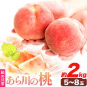 【ふるさと納税】あら川の桃 約2kg(5～8玉) 直ちゃん農園【先行予約】《7月中旬-8月末頃出荷》 和歌山県 紀の川市 果物 フルーツ 桃 もも モモ なつっこ 川中島白桃 晩白桃 旬 送料無料