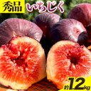 【ふるさと納税】【先行予約】紀の川産 いちじく 秀品 約1.2kg 約300g×4パック WAT農園《2025年8月中旬-11月中旬頃出荷》 和歌山県 紀の川市...