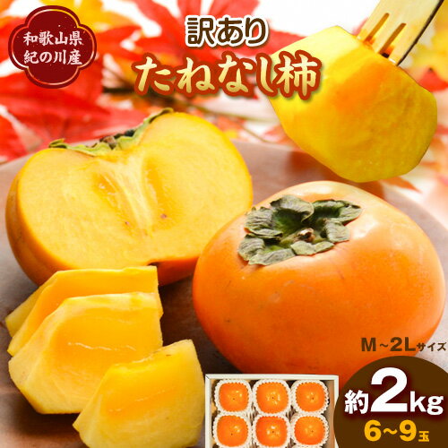 【ふるさと納税】訳ありたねなし柿 約2kg あずさ農園《2025年10月上旬-10月中旬より発送予定》 和歌山県 紀の川市 紀の川市 種なし 柿 カキ かき ジューシー フルーツ 秋の味覚 【ふるさと納税】訳ありたねなし柿 約2kg あずさ農園《2025年10月上旬-10月中旬より発送予定》 和歌山県 紀の川市 紀の川市 種なし 柿 カキ かき ジューシー フルーツ 秋の味覚