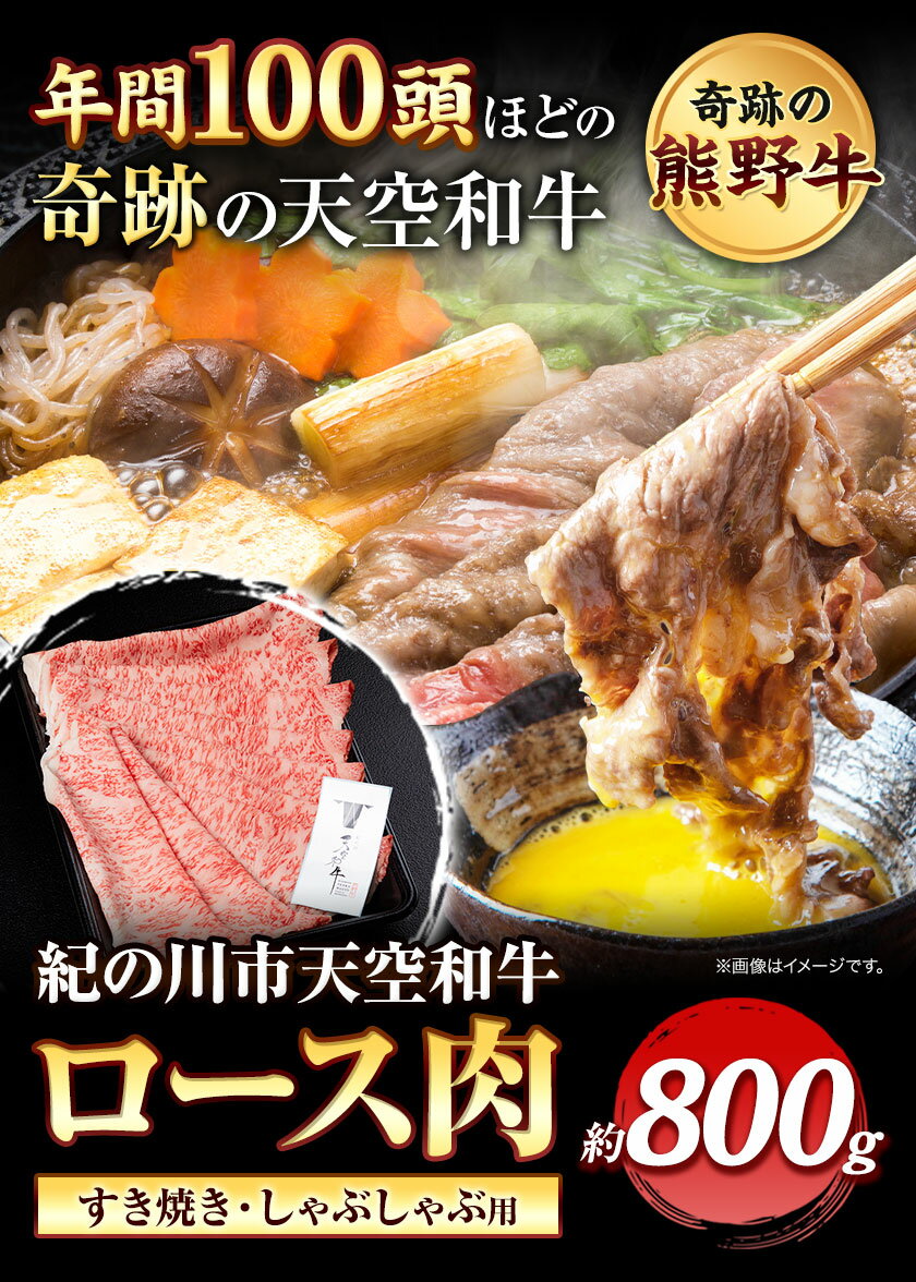 【ふるさと納税】熊野牛 紀の川天空和牛 ロース すき焼き しゃぶしゃぶ 用 約800g 有限会社松牛 《30日以内に発送予定(土日祝除く)》 和歌山県 紀の川市 黒毛和牛 牛 牛肉