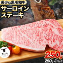 【ふるさと納税】熊野牛 紀の川天空和牛 サーロインステーキ約250g 約250g 1枚 有限会社松牛《30日以内に出荷予定 土日祝除く 》サーロインステーキ 黒毛和牛 牛 牛肉 牛肉ステーキ ステーキ …