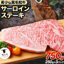 【ふるさと納税】熊野牛 紀の川天空和牛 サーロインステーキ約750g(約250g × 3枚) 有限会社松牛 《30日以内に出荷予定(土日祝除く)》 サーロインステーキ 黒毛和牛 牛 牛肉 牛肉ステーキ ステーキ 和歌山県 紀の川市(4)