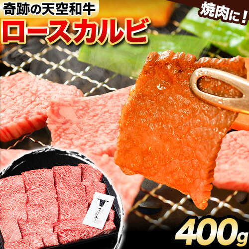 【ふるさと納税】熊野牛 紀の川天空和牛 ロース カルビ 焼肉