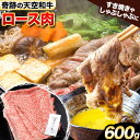 商品情報 熊野牛 紀の川天空和牛 ロース すき焼き・しゃぶしゃぶ用 名称 牛肉 産地 和歌山県紀の川市産 内容量 約600g アレルギー 牛肉 配送方法 冷凍便でお届けいたします。 提供元 有限会社松牛 当該返礼品は、区域内で生産された主要原材料が全体の価値のうち大半を占めています。(告示第5条第2号に該当) ・ふるさと納税よくある質問はこちら ・寄附申込みのキャンセル、返礼品の変更・返品はできません。あらかじめご了承ください。寄附金の用途について 「ふるさと納税」寄附金は、下記の事業を推進する資金として活用してまいります。 寄附を希望される皆さまの想いでお選びください。 [1]安心して健やかに暮らせるまちづくり支援 [2]育み学ぶ元気なまちづくり支援 [3]交流と活気が生まれるまちづくり支援 [4]快適で環境と調和するまちづくり支援 [5]健全で自立したまちづくり支援 [6]特に用途を定めない