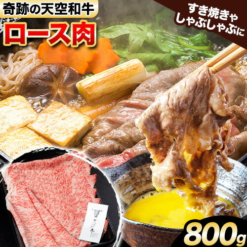 【ふるさと納税】熊野牛 紀の川天空和牛 ロース すき焼き しゃぶしゃぶ 用 約800g 有限会社松牛 《30日以内に発送予定(土日祝除く)》 和歌山県 紀の川市 黒毛和牛 牛 牛肉