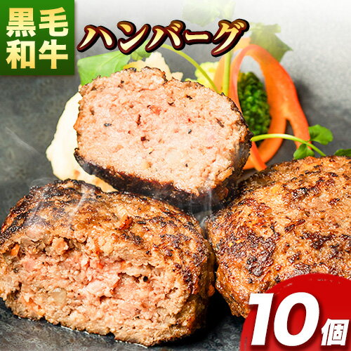 【ふるさと納税】肉 黒毛和牛 ハンバーグ 天空和牛ハンバーグ 約1kg 約100g 10個 《30日以内に出荷予定 土日祝除く 》有限会社松牛 和歌山県 紀の川市 熊野牛 紀の川天空和牛 惣菜 おかず