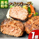 【ふるさと納税】肉 黒毛和牛 ハンバーグ 天空和牛ハンバーグ 1個 約100g 《30日以内に出荷予定 土日祝除く 》有限会社松牛 和歌山県 紀の川市 熊野牛 紀の川天空和牛 惣菜 おかず