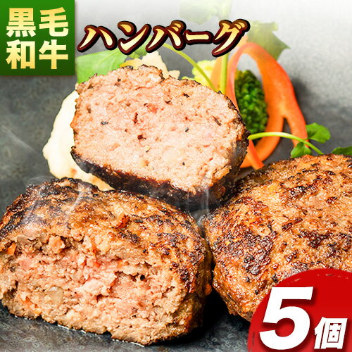 21位! 口コミ数「0件」評価「0」肉 黒毛和牛 ハンバーグ 天空和牛ハンバーグ 約500g (約100g×5個)《30日以内に出荷予定(土日祝除く)》有限会社松牛 和歌山県 ･･･ 