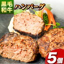 【ふるさと納税】肉 黒毛和牛 ハンバーグ 天空和牛ハンバーグ 約500g 約100g 5個 《30日以内に出荷予定 土日祝除く 》有限会社松牛 和歌山県 紀の川市 熊野牛 紀の川天空和牛 惣菜 おかず