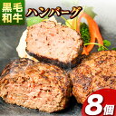 【ふるさと納税】肉 黒毛和牛 ハンバーグ 天空和牛ハンバーグ 約800g 約100g 8個 《30日以内に出荷予定 土日祝除く 》有限会社松牛 和歌山県 紀の川市 熊野牛 紀の川天空和牛 惣菜 おかず