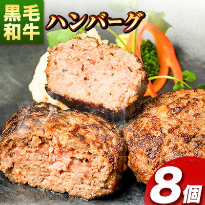 肉 黒毛和牛 ハンバーグ 天空和牛ハンバーグ 約800g (約100g×8個)《30日以内に出荷予定(土日祝除く)》有限会社松牛 和歌山県 紀の川市 熊野牛 紀の川天空和牛 惣菜 おかず