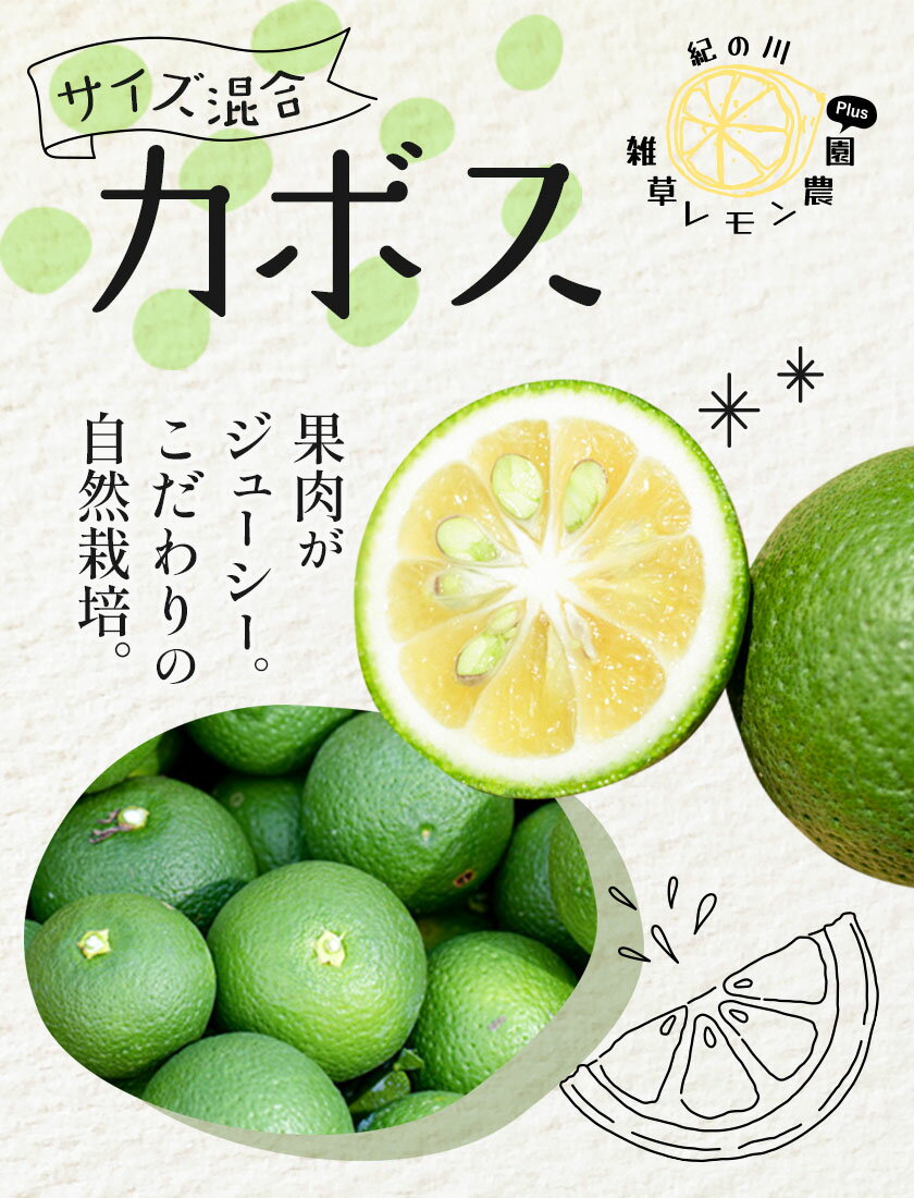 【ふるさと納税】【先行予約】カボス サイズ混合 約2kg ( 10～15個 )または 約5kg ( 25～35個 ) または 約10kg ( 50～70個 ) 紀の川雑草レモン農園Plus《2024年8月下旬-9月上旬頃より出荷予定》和歌山県 紀の川市 カボス 果物 フルーツ 選べる 2