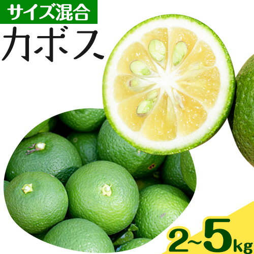 [先行予約]カボス サイズ混合 約2kg ( 10〜15個 )または 約5kg ( 25〜35個 ) または 約10kg ( 50〜70個 ) 紀の川雑草レモン農園Plus[2024年8月下旬-9月上旬頃より出荷予定]和歌山県 紀の川市 カボス 果物 フルーツ 選べる