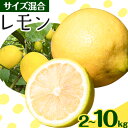 【ふるさと納税】レモン サイズ混合 約2kg 8～13個 または 約5kg 20～30個 または 約10kg 40～60個 紀の川雑草レモン農園Plus《2024年10月下旬-2025年1月上旬頃より出荷予定》和歌山県 紀の川…