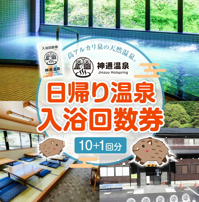 【ふるさと納税】神通温泉 入浴 回数券 10回 + 1回 日帰り 旅行 SEC＆Co. 《30日以内に出荷予定(土日祝除く)》 和歌山県 紀の川市 旅行券 温泉 入浴回数券 高アルカリ 美容 健康 送料無料 バレルサウナその2