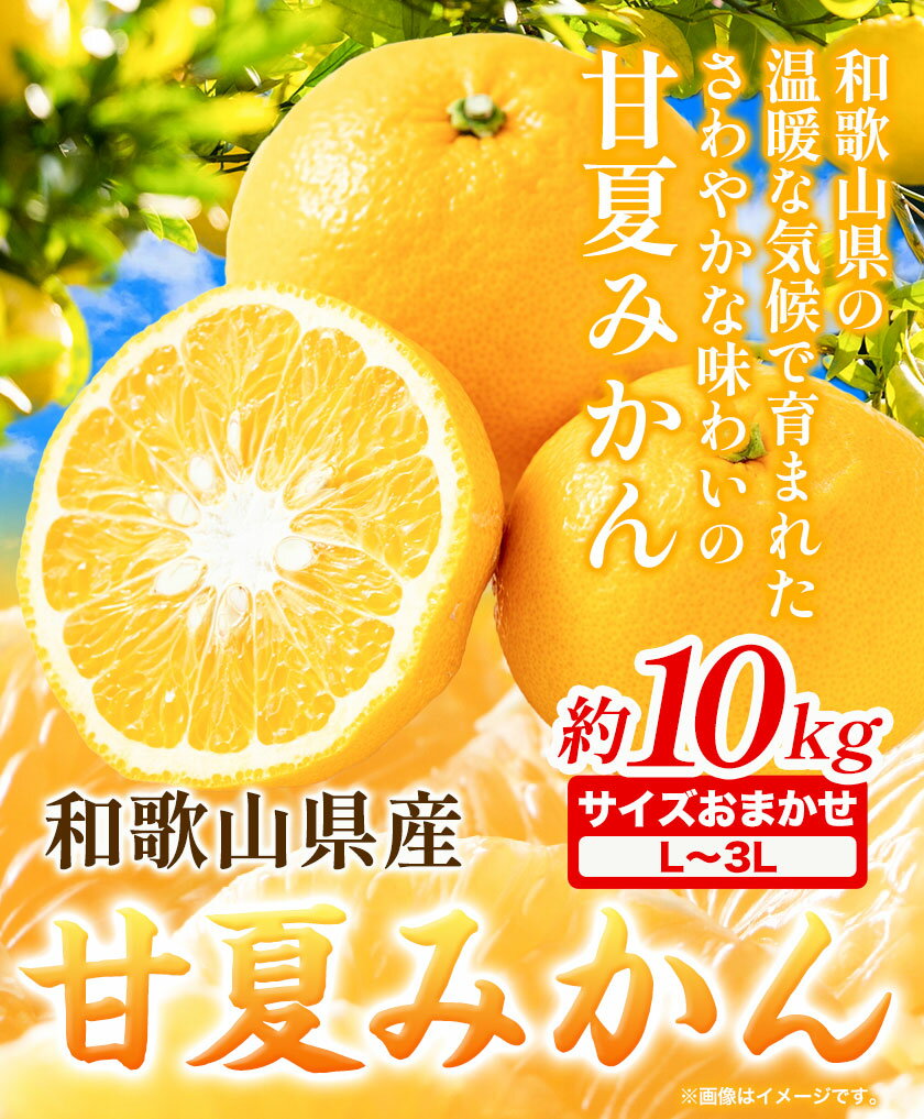 【ふるさと納税】みかん 和歌山県産 甘夏みかん 約10kg (サイズおまかせ L〜3L）紀の川市厳選館《3月頃出荷》 和歌山県 紀の川市 フルーツ 果物 送料無料 紀の川市産【配送不可地域あり】