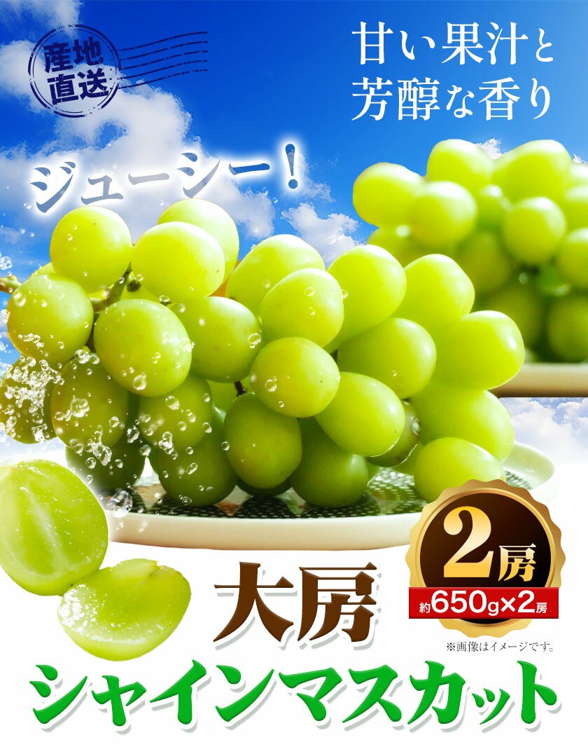 【ふるさと納税】【先行予約】和歌山県産 大房 シャインマスカット 2房 入り(1房 650g × 2房 )《2025年9月上旬-10月中旬頃より出荷予定》【配送不可地域あり】 紀の川市 厳選館 和歌山県 紀の川市 フルーツ 果物 葡萄 ぶどう マスカット