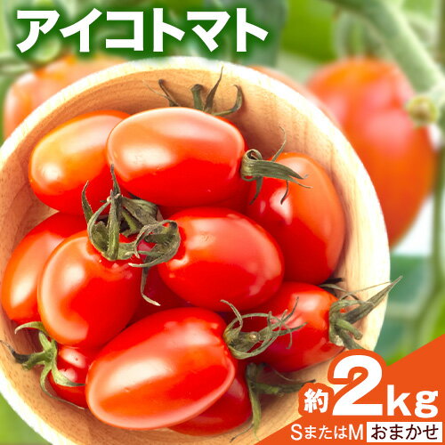 【ふるさと納税】和歌山産 ミニトマト アイコトマト 約2kg SまたはMサイズ サイズおまかせ 厳選館 【配送不可地域あり】《2026年1月上旬-2月中旬頃出荷》 和歌山県 紀の川市 トマト とまと アイコトマト 送料無料 【ふるさと納税】和歌山産 ミニトマト アイコトマト 約2kg SまたはMサイズ サイズおまかせ 厳選館 【配送不可地域あり】《2026年1月上旬-2月中旬頃出荷》 和歌山県 紀の川市 トマト とまと アイコトマト 送料無料