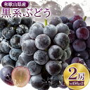 【先行予約】【ふるさと納税】和歌山県産 黒系ぶどう 品種おまかせ 約450g×2房 紀の川市厳選館 《8月上旬から9月中旬頃出荷》 和歌山県 紀の川市 フルーツ...